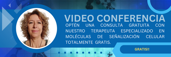 VIDEO CONFERENCIA gratis